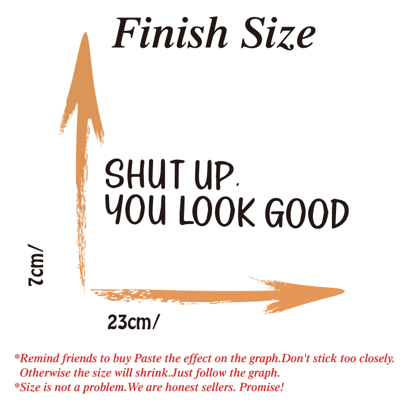 Sh * t UP Você parece boa cita - Home Goods Bathroom Mirrors avaliação e preço
